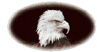 Leader Search, Inc.